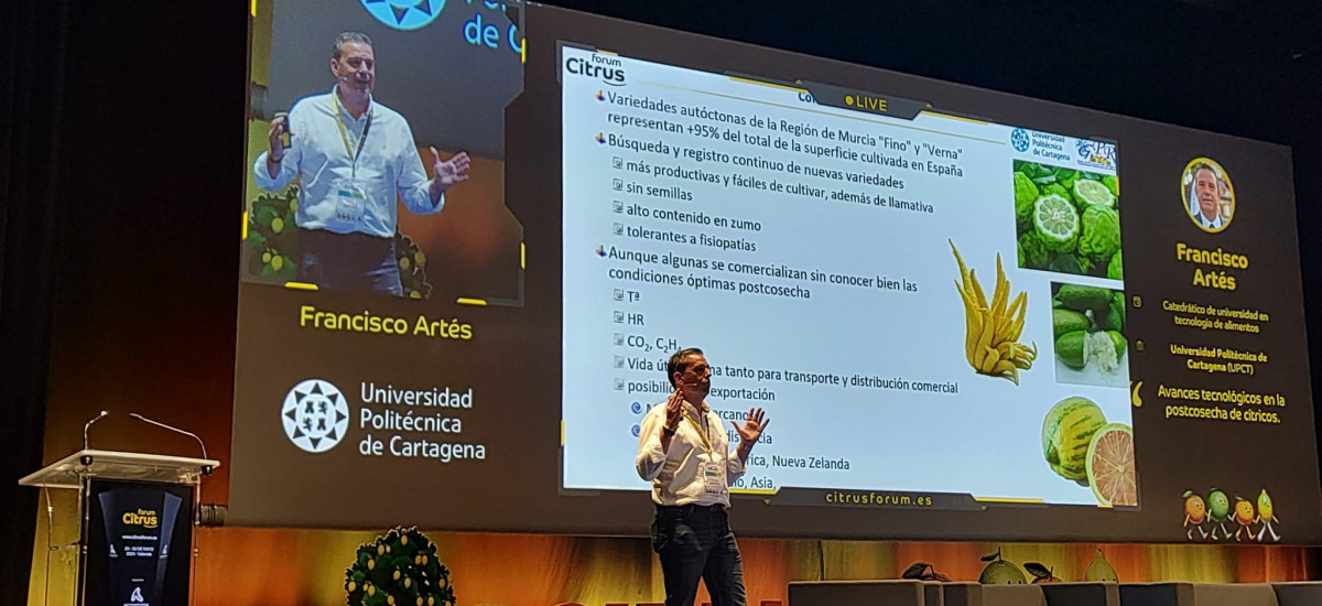 Artés Hernández explica en el mayor congreso sobre cítricos los avances en postcosecha que facilitan su exportación